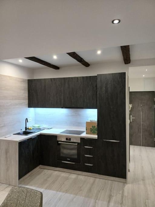 Apartman Ena Radiceva Záhřeb Exteriér fotografie