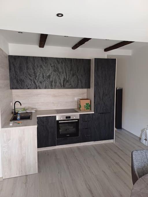 Apartman Ena Radiceva Záhřeb Exteriér fotografie